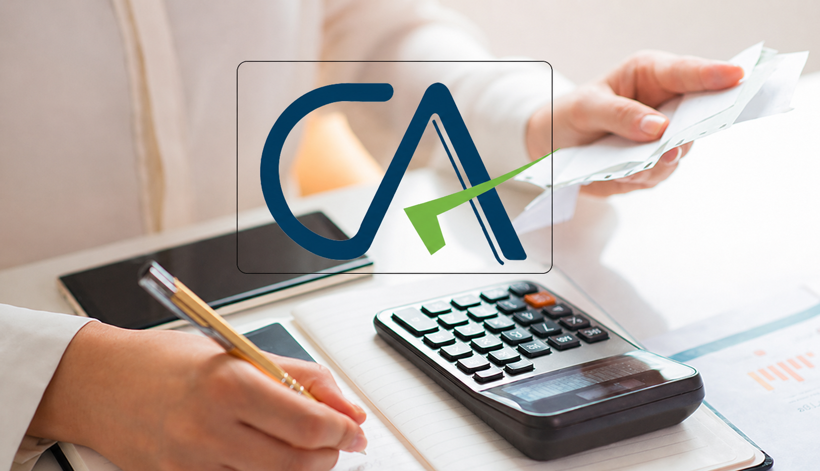 Professional Accounting Services